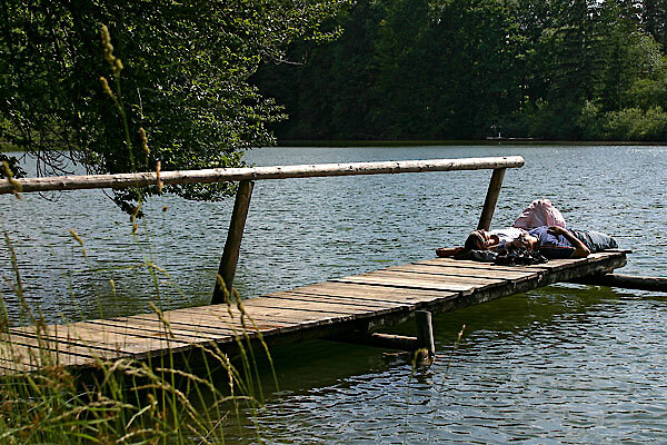 Badesee mit Steg im Bayerischen Wald
